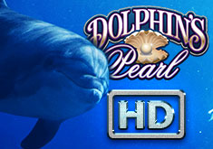 Dolphins Pearl HD